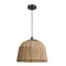 ELK D4637 Reaver 1-lt 16" Pendant