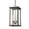 Troy F6710 Zuma 4-lt 10" Outdoor Hanging Lantern