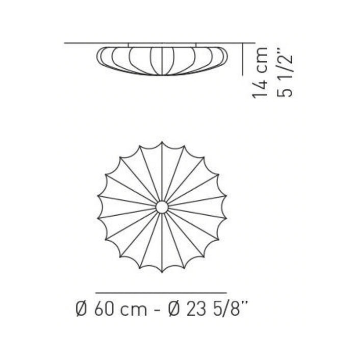 Axo UPMUSE60 Muse 2-lt 24" Wall / Ceiling Light