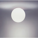 Artemide Dioscuri 25 Wall/Ceiling Light for Indoor/Outdoor