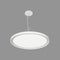 Oracle DISC-LED 2-ft LED Pendant