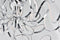 ET2 E21415 Chaos 28" Wide LED Pendant