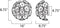 ET2 E22092 Fiori 8-lt Flush Mount
