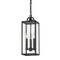 Troy F2066 Caiden 3-lt 7" Outdoor Hanging Lantern