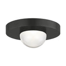 Tech 700FMEBL Ebell 1-lt 5" LED Flush Mount