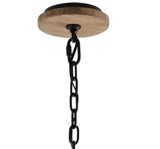 Troy F4905 Murphy 1-lt 13" Pendant