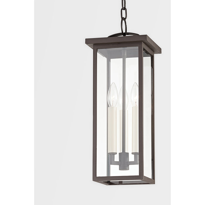 Troy F7520 Eden 3-lt 8" Outdoor Pendant