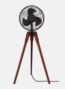 Fanimation FP8014 Arden Portable Fan