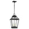 Genretion CO1054 Falmouth 4-lt 12" Outdoor Hanging Lantern