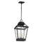 Genretion CO1054 Falmouth 4-lt 12" Outdoor Hanging Lantern