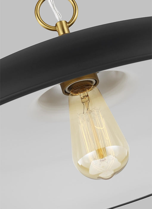Visual Comfort CP1231 Wellfleet 1-lt 20" Pendant