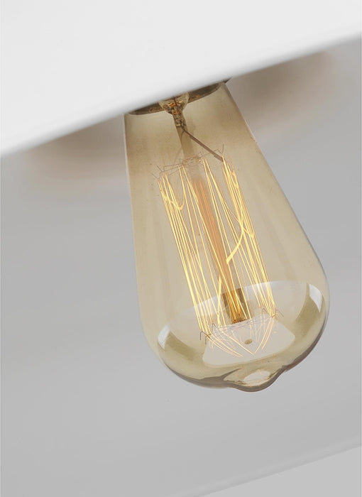 Visual Comfort CP1231 Wellfleet 1-lt 20" Pendant