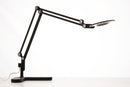Pablo Designs Link LED Medium Table Lamp