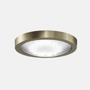 Fanimation MA6721B Spitfire 48" Indoor/Outdoor Ceiling Fan with LED Light Kit - Brushed satin brass