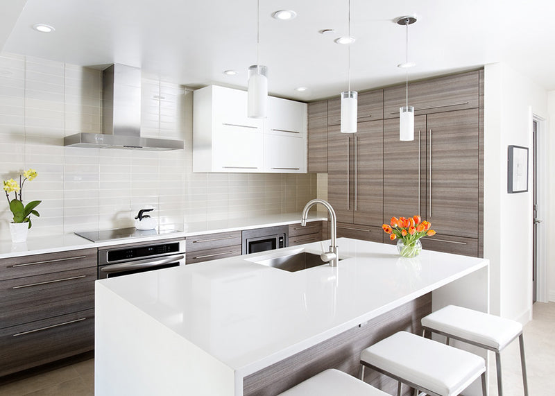 Tech 700MPHRZ Horizon 3" Low Voltage Pendant with Monopoint Canopy