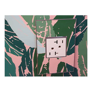Adorne ARTR202 20A Dual Tamper-Resistant Outlet