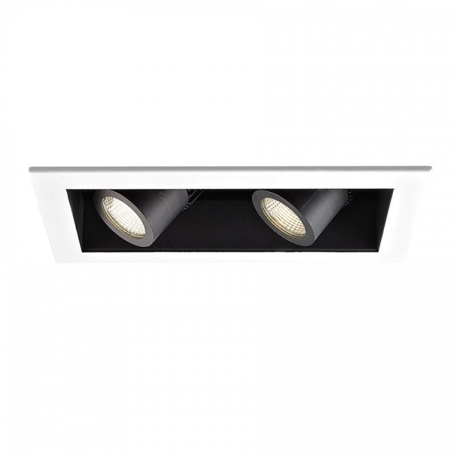 WAC MT-4LD216 2-lt LED Precision Multiples Spot Trim - LBC Lighting