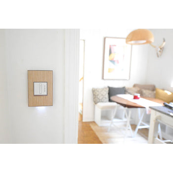 Adorne AWM1G2 1-Gang Screwless Wall Plate
