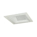 Nora NMIOT-11-W Iolite MLS Flanged One Head Wall Wash Trim