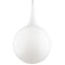 Tech 700FJPEL Pele 7" Low Voltage Pendant (Freejack)