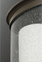 Progress P5564 Archives 1-lt Outdoor Hanging Lantern