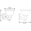Progress P3161 Madison 1-lt Bath & Vanity