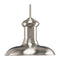 Progress P5024 Brookside 12" Wide Pendant