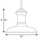 Progress P5024 Brookside 12" Wide Pendant