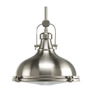 Progress P5188 Fresnel Lens 1-lt Pendant