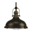 Progress P5188 Fresnel Lens 1-lt Pendant