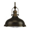Progress P5188 Fresnel Lens 1-lt Pendant