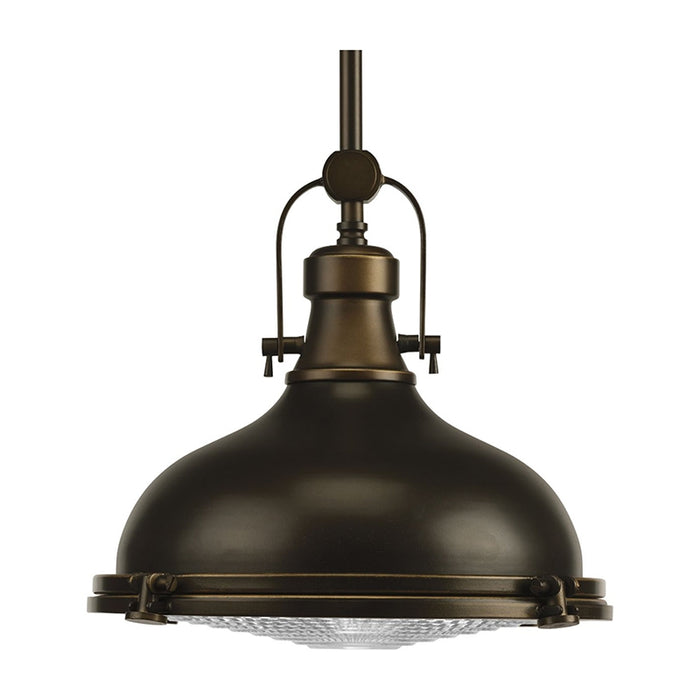 Progress P5188 Fresnel Lens 1-lt Pendant