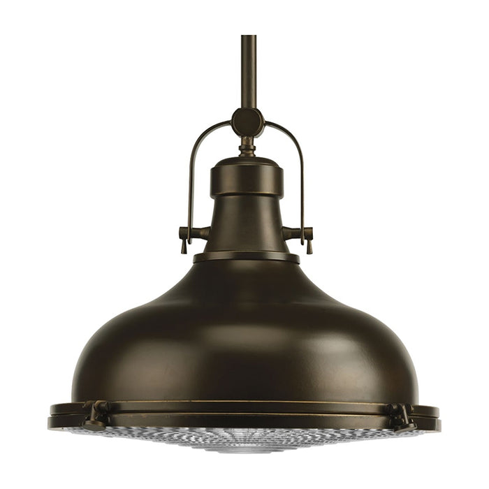 Progress P5197 Fresnel Lens 1-lt Pendant