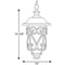 Progress P550037 Leawood 1-lt LED Outdoor Hanging Lantern