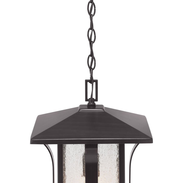 Progress P550045 Cullman 1-lt Outdoor Hanging Lantern