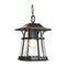 Progress P5579 Derby 1-lt Outdoor Hanging Lantern
