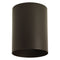 Progress P5774 Cylinder 5" Wide Outdoor Ceiling Mount