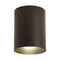 Progress P5774 Cylinder 5" Wide Outdoor Ceiling Mount
