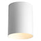 Progress P5774 Cylinder 5" Wide Outdoor Ceiling Mount