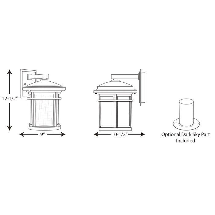 Progress P6085 Wish 9" Wide Outdoor LED Wall Lantern