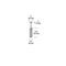 Tech 700FJRVL Revel 3" Low Voltage Pendant (Freejack)