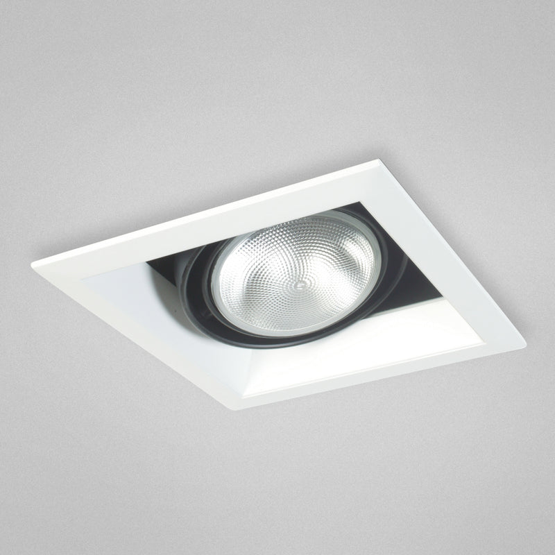Eurofase TE-131 1-lt PAR30 Multiple Recessed Trim