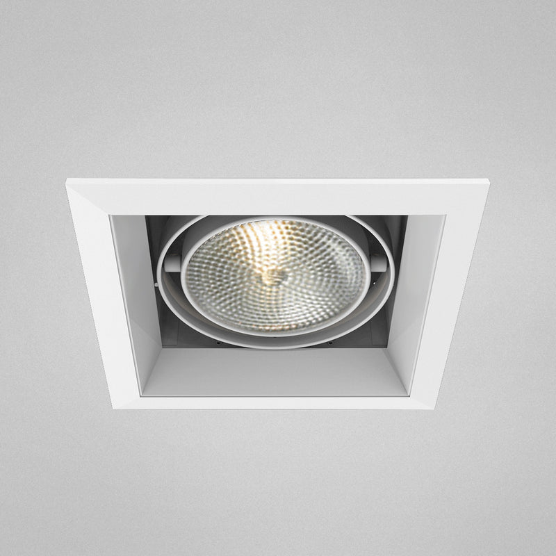Eurofase TE-131 1-lt PAR30 Multiple Recessed Trim