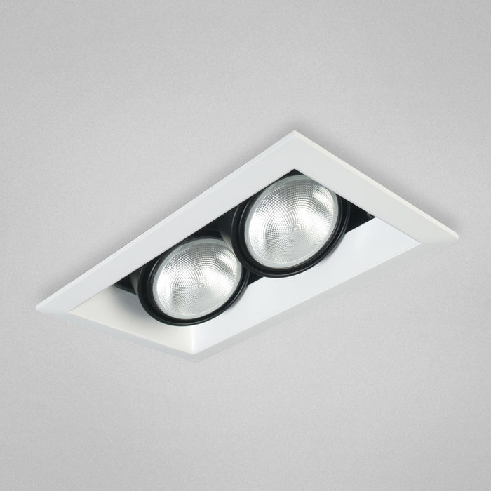 Eurofase TE-132 2-lt PAR30 Multiple Recessed Trim