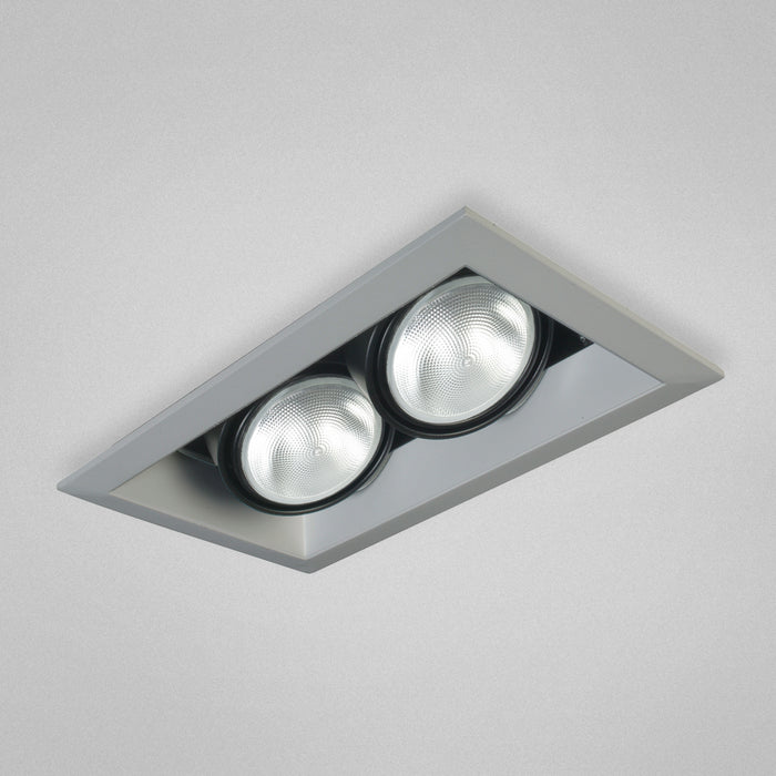 Eurofase TE-132 2-lt PAR30 Multiple Recessed Trim