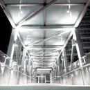 WAC DS-WS05 Tube Architectural 5" LED Outdoor Wall Mount, Single Sided