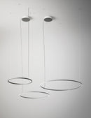 Axo USULA120 U-Light 47" LED Pendant