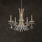 Schonbek VA8355 Vesca 5-lt 23" Chandelier
