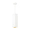 Tech 700TDEXOP1812 Exo 18 1-lt 5" LED Pendant, 12" Length, 3000K